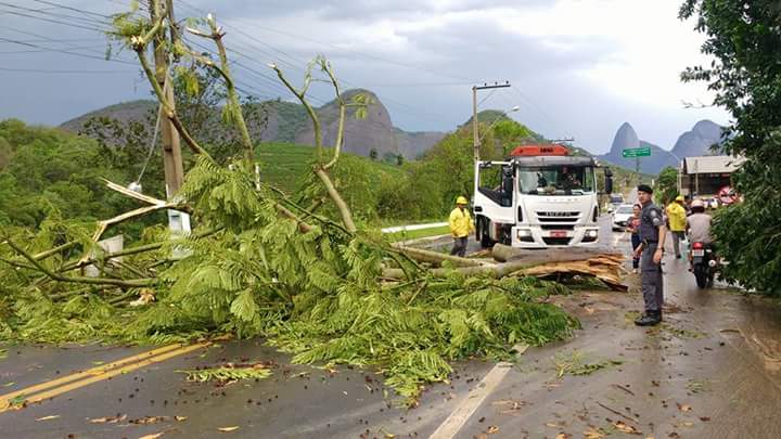 Vendaval desta segunda-feira provoca destruição em Águia Branca
