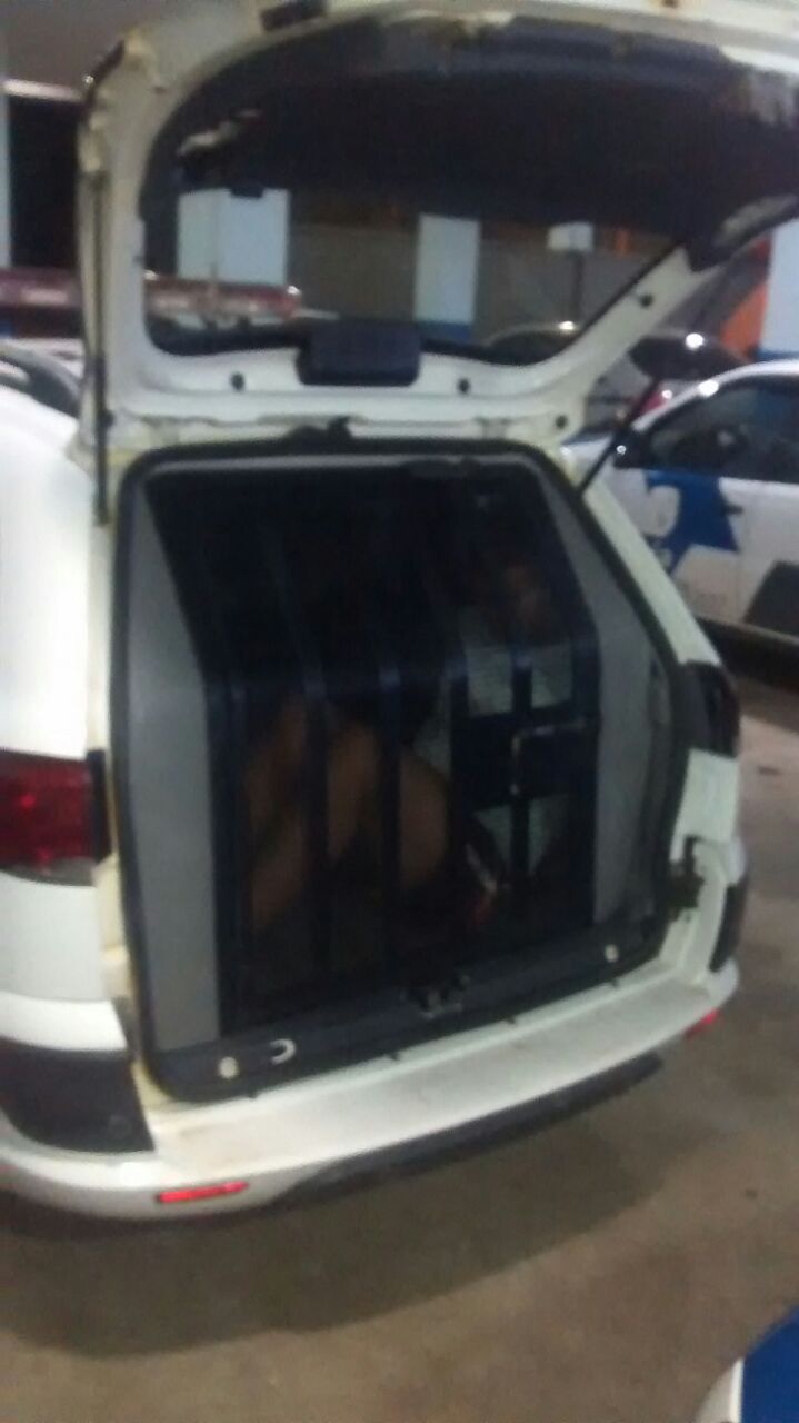 Policiais Militares realizam perseguição a individuo suspeito com moto adulterada e placa clonada