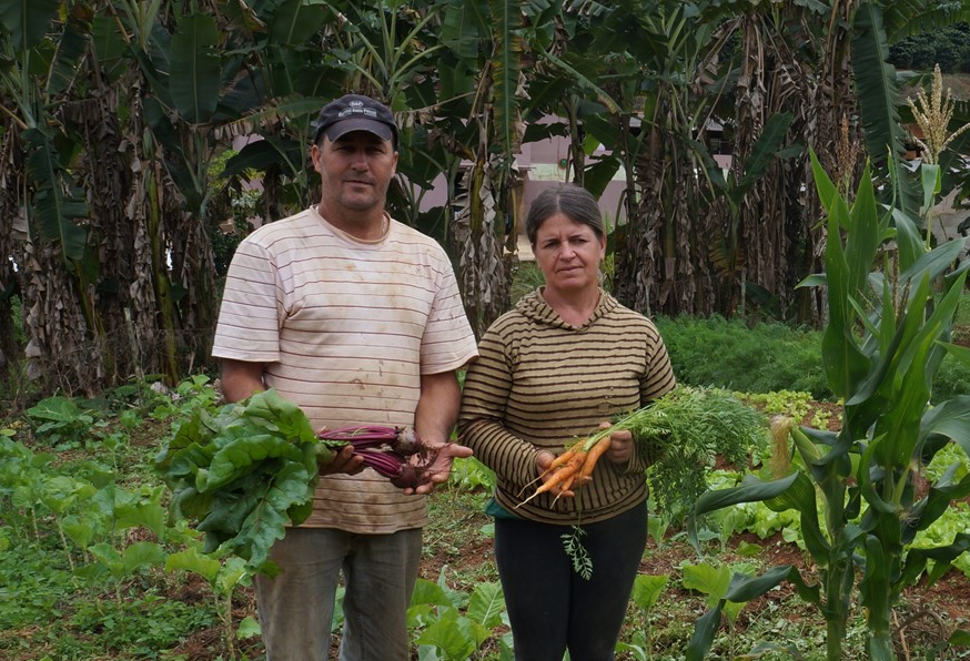 Agricultura Familiar do Espírito Santo: produção de água e alimentos saudáveis