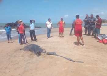 Homem encontrado morto em praia após desaparecer