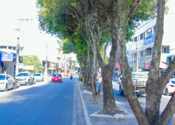 Prefeitura de Jaguaré anuncia poda em árvores da Av. 09 de Agosto