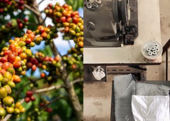 Câmara Municipal de São Gabriel da Palha aprova dois projetos de lei que valorizam setores estratégicos do município