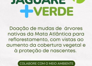 Prefeitura de Jaguaré doa mudas de árvores nativas para produtores rurais