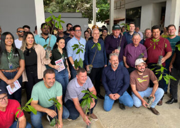 Produtores de Vila Pavão recebem mais 1.500 mudas de cacau