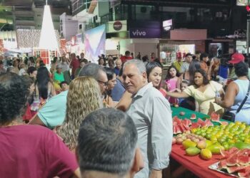 Festejos de Natal viram tradição em Barra de São Francisco