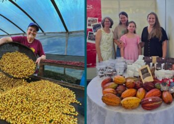 Elas no Campo e na Pesca consolida avanços e amplia impacto entre mulheres rurais em 2025