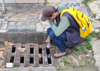 Mutirão contra a dengue elimina 85 focos do mosquito no bairro Iolanda