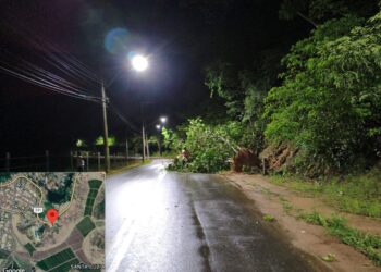 Defesa Civil e Secretaria de Obras removem árvore caída após fortes chuvas em Nova Venécia