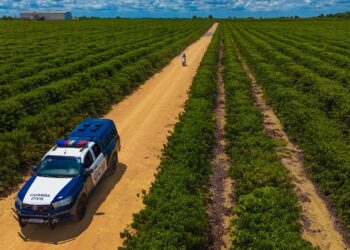 Operação Colheita 2026: Guarda Municipal e PMES unem forças para garantir segurança em Linhares