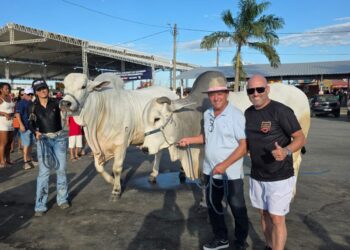 Festa de 72 anos de Nova Venécia resgata tradição e entra para a história pela organização e sucesso de público