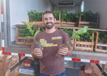 Projeto Arranjos Produtivos realiza entrega de 161,5 mil mudas em seis cidades do norte