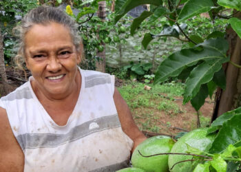 Arranjos Produtivos entrega mais de 1,5 milhão de mudas a produtores