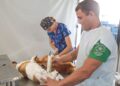 Carretão Pet Vida retorna a Linhares com mutirão de castração nos balneários