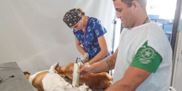 Carretão Pet Vida retorna a Linhares com mutirão de castração nos balneários
