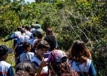 Alunos do Projeto Anjos da Guarda terão aula prática em Jacarenema