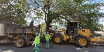 Prefeitura de Cachoeiro intensifica serviços de limpeza e remoção de entulhos