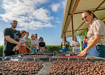 Jaguaré lança primeira Rota do Café Conilon municipal no ES e impulsiona agroturismo