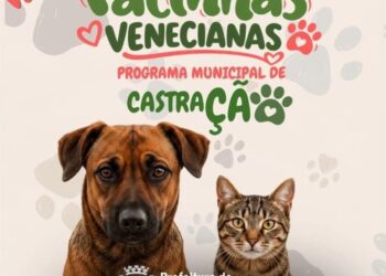Prefeitura de Nova Venécia lança Programa Patinhas Venecianas para castração de cães e gatos