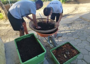 Da sobra ao adubo: projeto transforma resíduos em aprendizagem e sustentabilidade em escola de Jaguaré