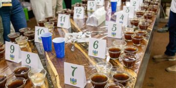 Jaguaré divulga ganhadores do Concurso de Qualidade de Café Conilon nesta quinta-feira