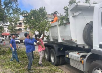 Prefeitura de Nova Venécia segue com força-tarefa para recuperar estragos após temporal